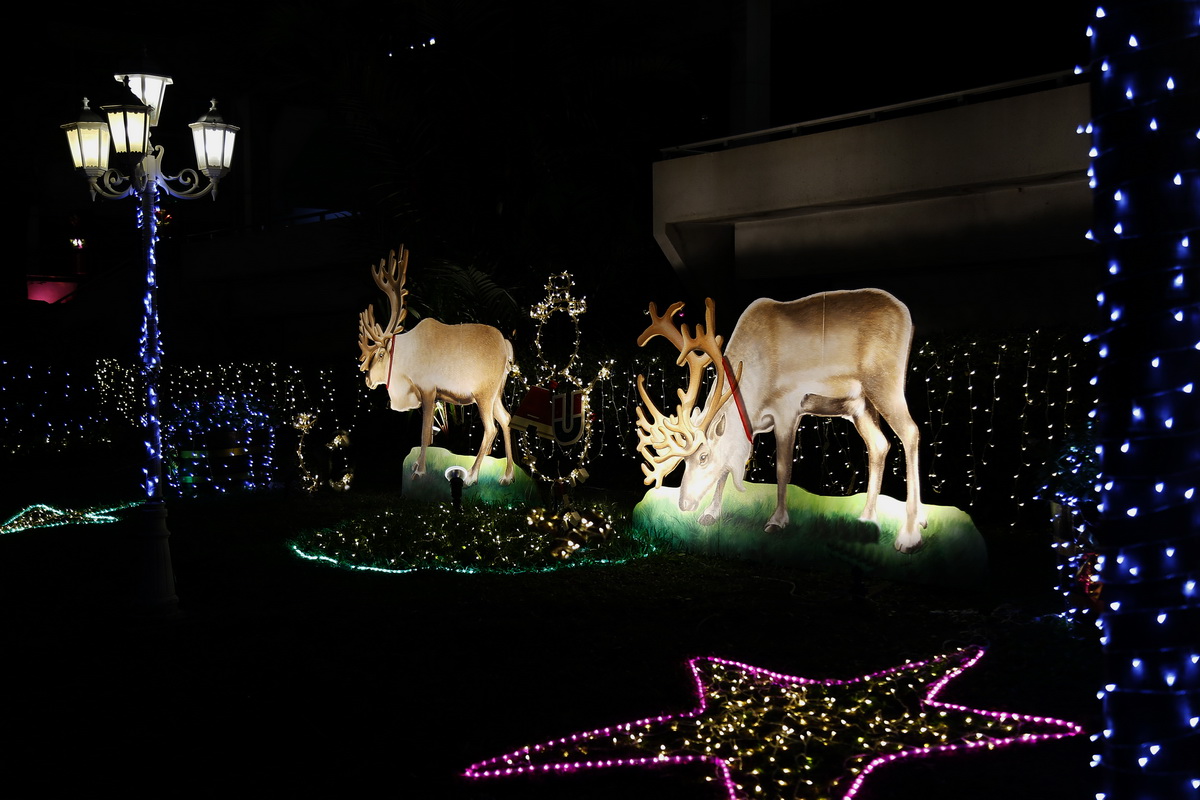 It’s Beginning to Look a Lot Like Christmas at Assumption University